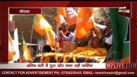 चुनाव प्रचार के कुछ घंटे बाकी