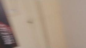 फन्ने खां भोपाली लाइव