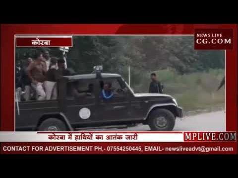 हाथियों ने लगवाई धारा 144