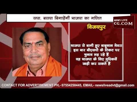 इन सीटों पर सपा और बसपा बिगाड़ सकती हैं भाजपा की जीत का गणित
