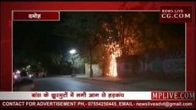 दमोह कलेक्टर बंगले के पास लगी आग