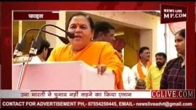 उमा भारती क्यों नहीं लड़ेंगी लोकसभा चुनाव?