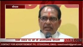 भाजपा विधायक के खिलाफ सिंधी समाज का प्रदेशव्यापी धरना