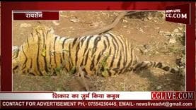 पकड़ाए बाघिन के हत्यारे