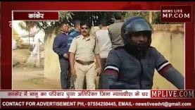 जज के घर घुसे भालू, मचा हड़कंप