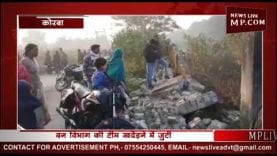 कोरबा में हाथी घुसे शहर के अंदर