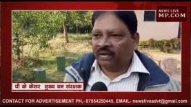 बिलासपुर में सफेद शेर की मौत