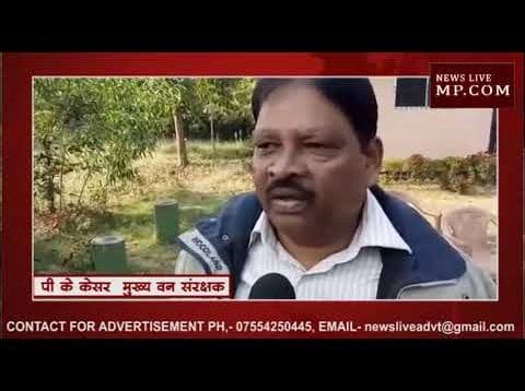 बिलासपुर में सफेद शेर की मौत