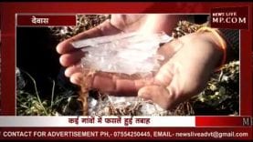 देवास जिले में पाले का कहर, फसलों को नुकसान