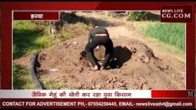 झाड़बिड़ा में हो रही जैविक खेती