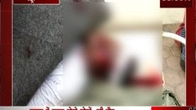 Sequence 01.Still205