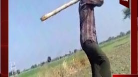 Sequence 01.Still388