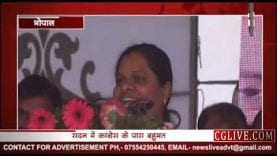 हिना कांवरे विधानसभा उपाध्यक्ष?