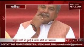 राहुल गांधी के बयान पर नरेंद्र तोमर का पलटवार