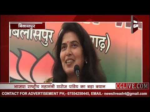 सरोज पांडेय ने रमन सिंह के लिए ये क्या कहा