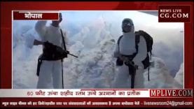 देश के लिए कुर्बानियों का गवाह- शौर्य स्मारक