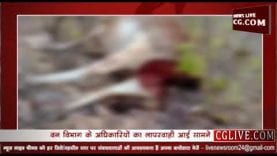 जंगली जानवर ने गाय को बनाया शिकार