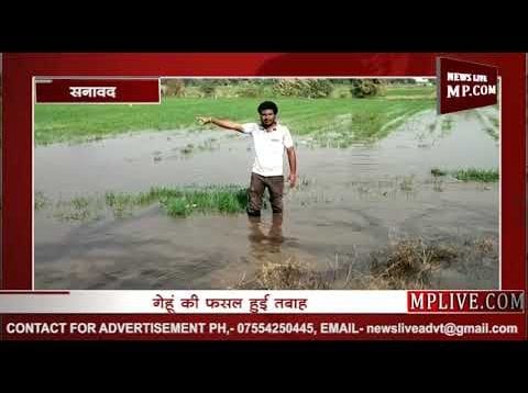 बड़वाह में नहर फूटने से फसलों को नुकसान