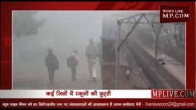 MP में सर्दी का सितम, स्कूलों में छुट्टी