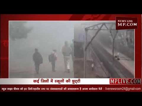 MP में सर्दी का सितम, स्कूलों में छुट्टी