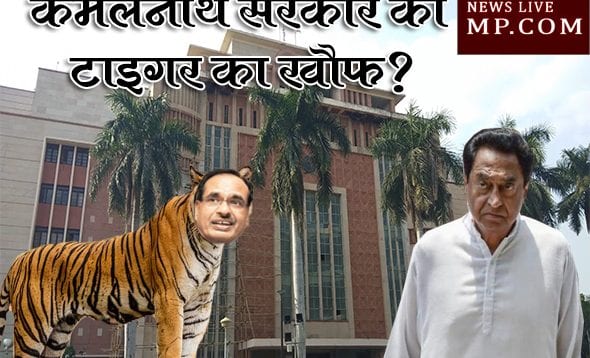 tiger ka khouf
