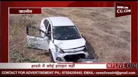 जानवर को बचाने में कार दुर्घटनाग्रस्त