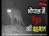 भोपाल में तेंदुए की दहशत