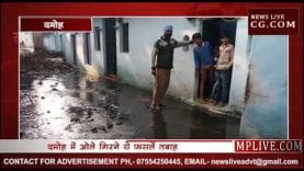 दमोह में ओले गिरने से फसलें तबाह