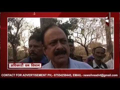 भोपाल शहर में घुसा तेंदुआ लोगों में दहशत