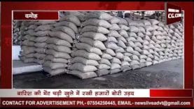 बारिश से बर्बाद हुई हजारों बोरी उड़द