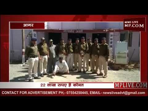 बड़ोद पुलिस ने पकड़ी लाखों रुपए की अफीम
