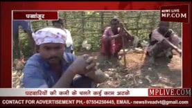 पखांजुर में चल रही है पटवारियों की कमी