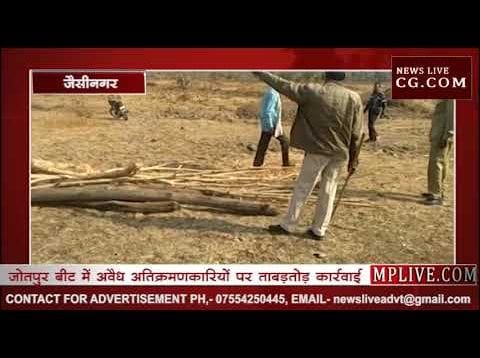जैसीनगर में हुआ newalivemp.com की खबर का असर