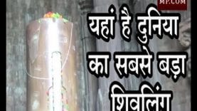 यहां है दुनिया का सबसे बड़ा शिवलिंग, ऐसे मनी शिवरात्रि