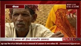 प्रदेश के अजजा जिलों में गोंडी भाषा प्राथमिक शिक्षा पाठ्यक्रम में होगी शामिल