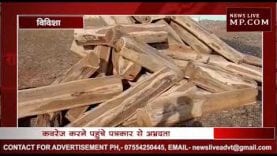 आरामशीन में छापा, मिले लाखों के सागौन