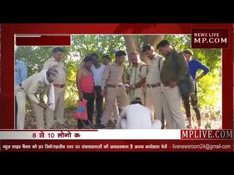 खेत में मिले नीलगाय के अवशेष,करंट लगाकर किया नीलगाय का शिकार