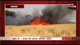 आग ने किया अन्नदाता का बंटाधार