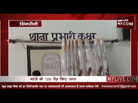 सिंगरौली पुलिस ने पकड़ा 3लाख 70हजार का गांजा