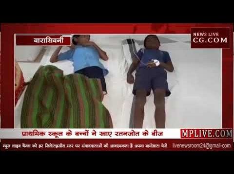 रतनजोत का बीज खाने से 37 बच्चे बीमार
