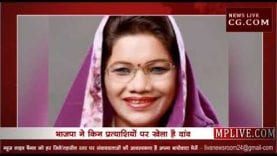 Loksabha Election 2019- जानिए क्या काम करते हैं भाजपा के लोकसभा उम्मीदवार