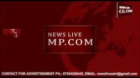 Loksabha Election 2019- भाजपा ने जारी की लोकसभा प्रत्याशियों की सूची, ये हैं MP से उम्मीदवार