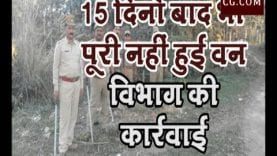 15 दिनों बाद भी पूरी नहीं हुई वन विभाग की कार्रवाई