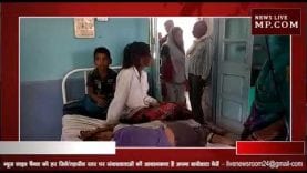 दमोह में रतनजोत के बीज खाने से 4 बच्चे बीमार, हटा में भर्ती