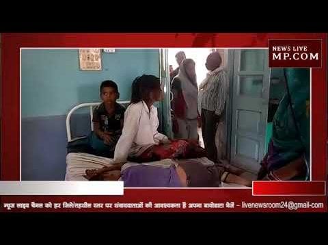 दमोह में रतनजोत के बीज खाने से 4 बच्चे बीमार, हटा में भर्ती