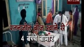 रतनजोत का बीज खाकर बीमार हुए 4 बच्चे