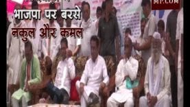 छिंदवाड़ा में भाजपा पर बरसे नकुल और कमल