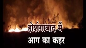 होशंगाबाद में आग का कहर, सैकड़ों एकड़ की फसल खाक, दर्जनों लोग झुलसे