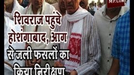 शिवराज पहुंचे होशंगाबाद, आग से जली फसलों का किया निरीक्षण