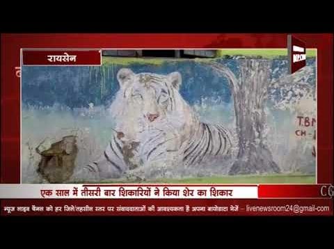 रातापानी में फिर हुआ शेर का शिकार, सोता रहा वन विभाग